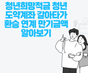 청년도약계좌 사진