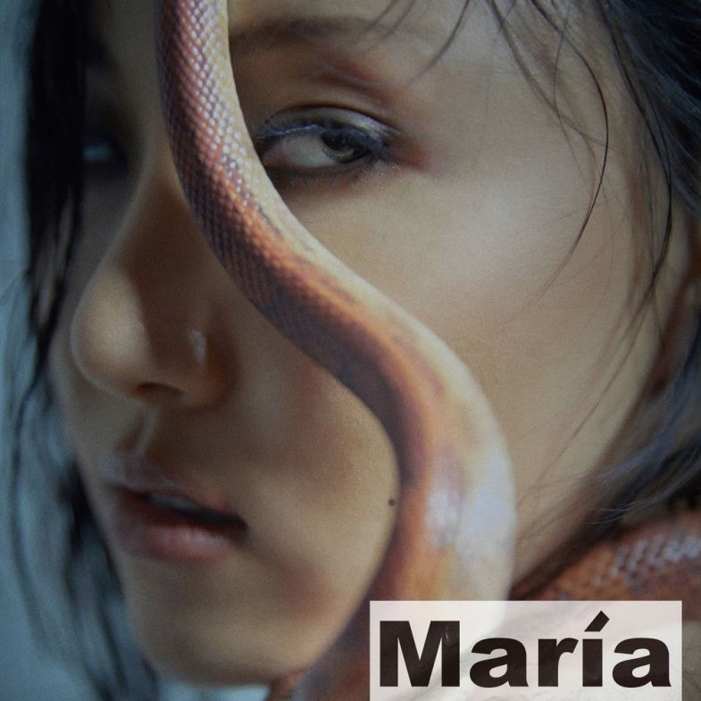 歌詞和訳 日本語 Mamamoo 마마무 화사 ファサ Hwasa 마리아 Maria マリア