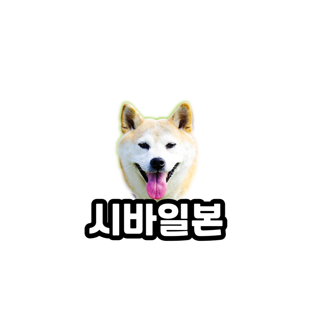 일본여행시 여행 도중에 활용할 수 있는 동전 처리 방법|일본여행 - 시바일본 Japan Online Information