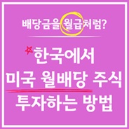 배당금으로 월급받으려면?