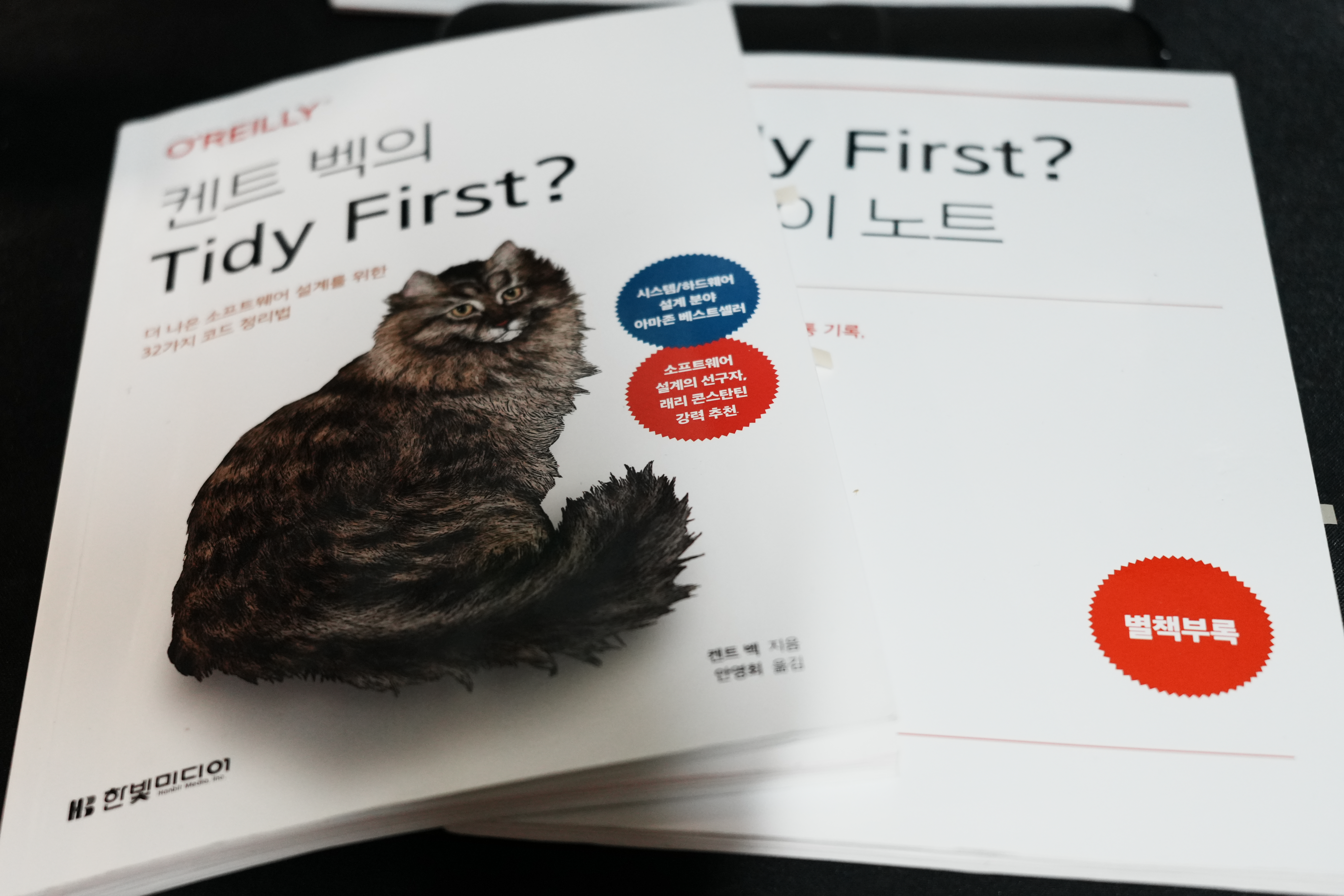  [리뷰] 켄트 벡(kent beck)의 tidy first?