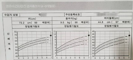 6개월