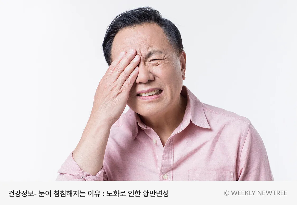 눈이 침침해지는 이유