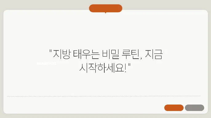 체지방 감량을 위한 운동 순서와 방법
