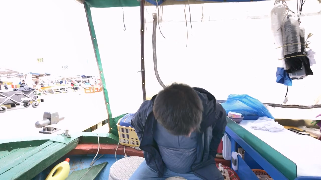 일요특선 다큐멘터리.E343.240304p-NEXT.mp4_20240305_202402.426.jpg