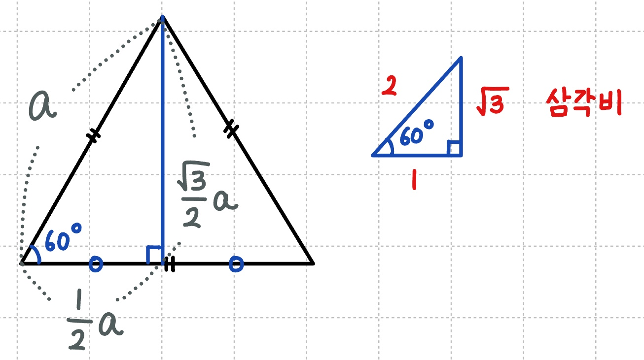 정삼각형 넓이 공식 증명