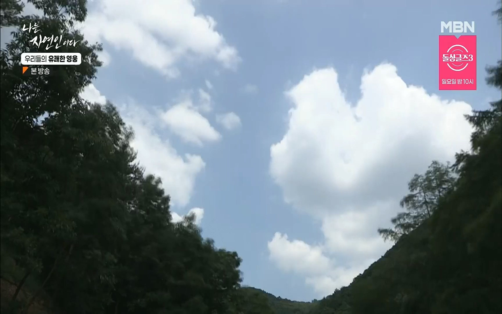 나는 자연인이다.E508.220629p.H264-F1RST.mp4_20220630_203356.384.jpg