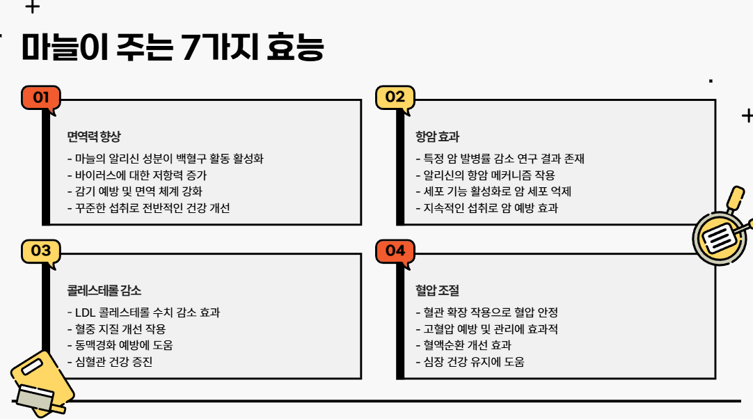 마늘효능