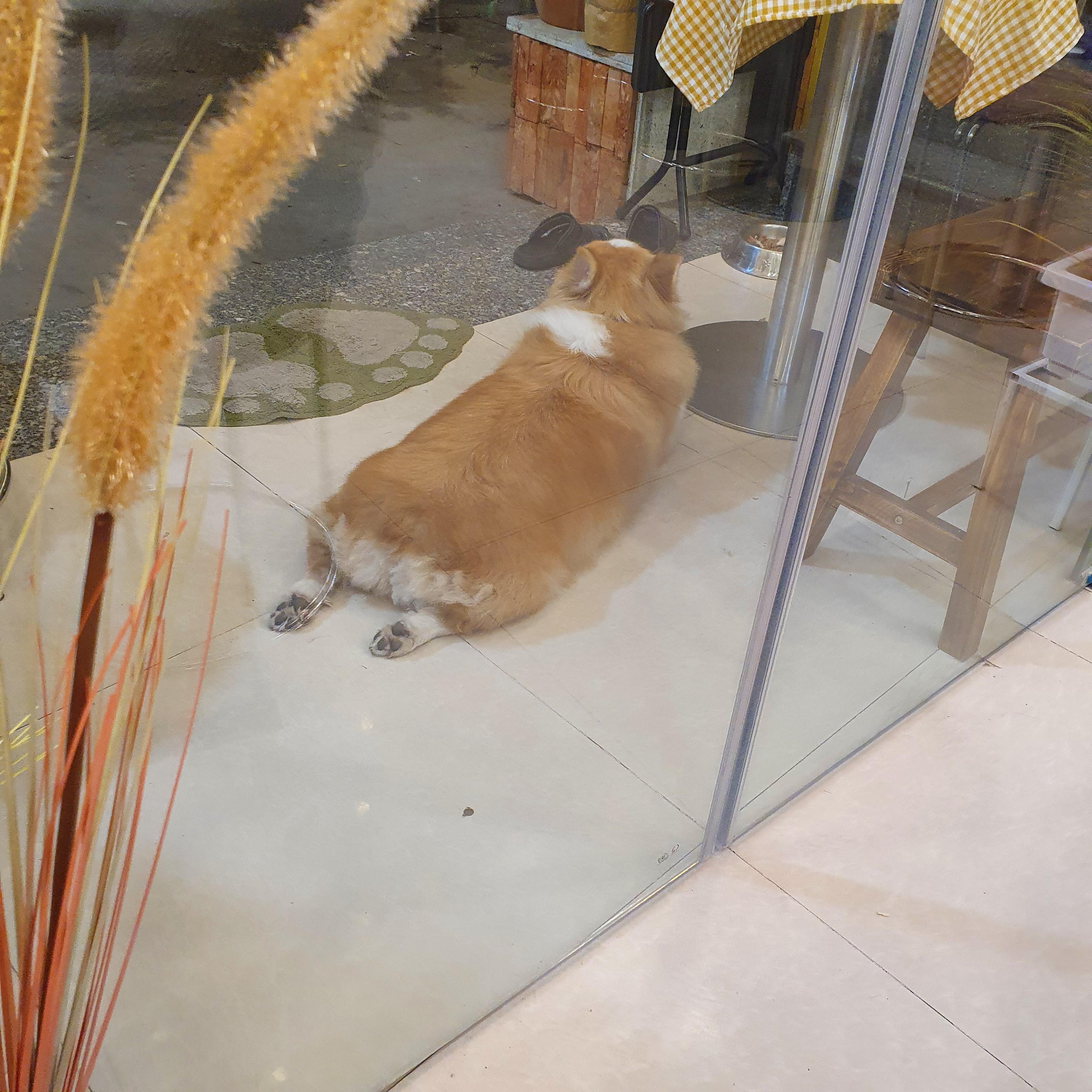 서울이발관 이미지