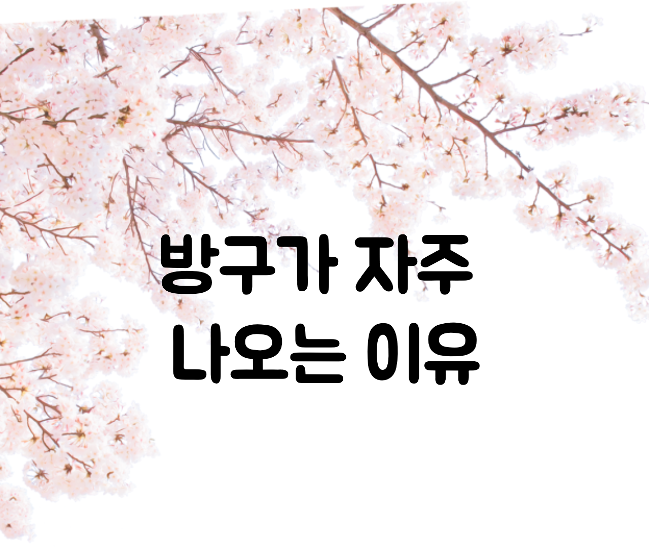  방구 자주 나오는 이유 / 잦은 방귀 자주 뀌는 이유 원인 정리