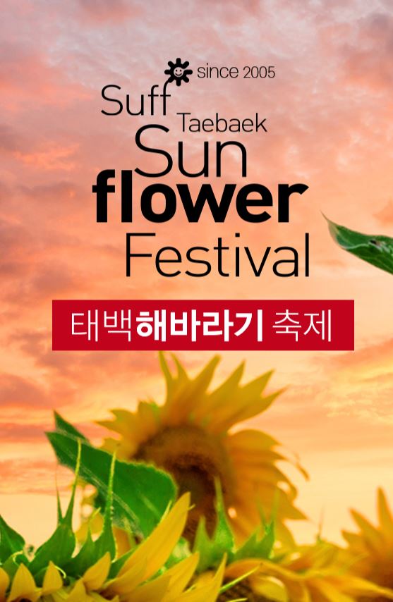  [축제 정보] 태백 해바라기 축제, 동화 속으로 빠진 듯한 황홀한 꽃바다 경험!"