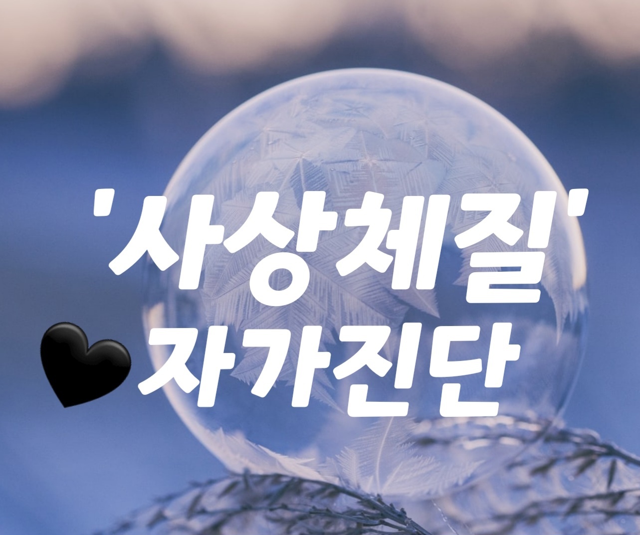  자가 체질 진단법-내 체질은 무슨 체질일까?