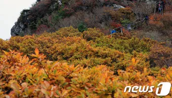 덕유산 국립공원 실시간 CCTV 모바일_25