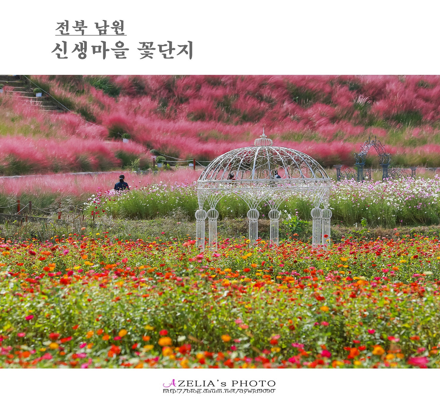 꽃단지 이미지