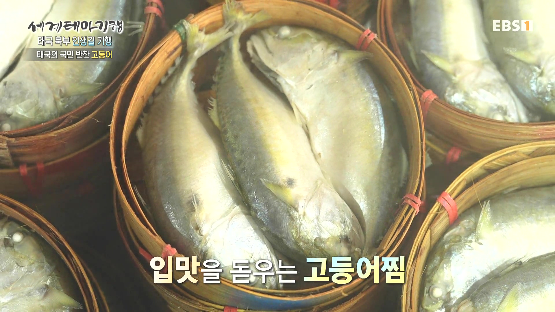 세계테마기행.240221.태국 북부 인생길 기행 3부. 인생 맛, 손맛0P.mp4_20240806_201508.063.jpg