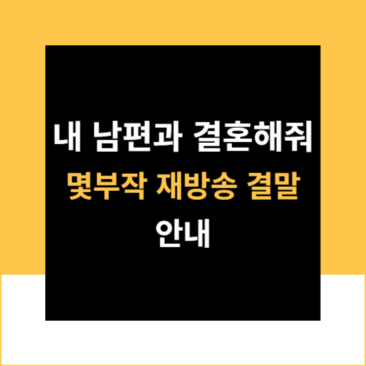 내 남편과 결혼해줘 몇부작 재방송 결말 정보 안내
