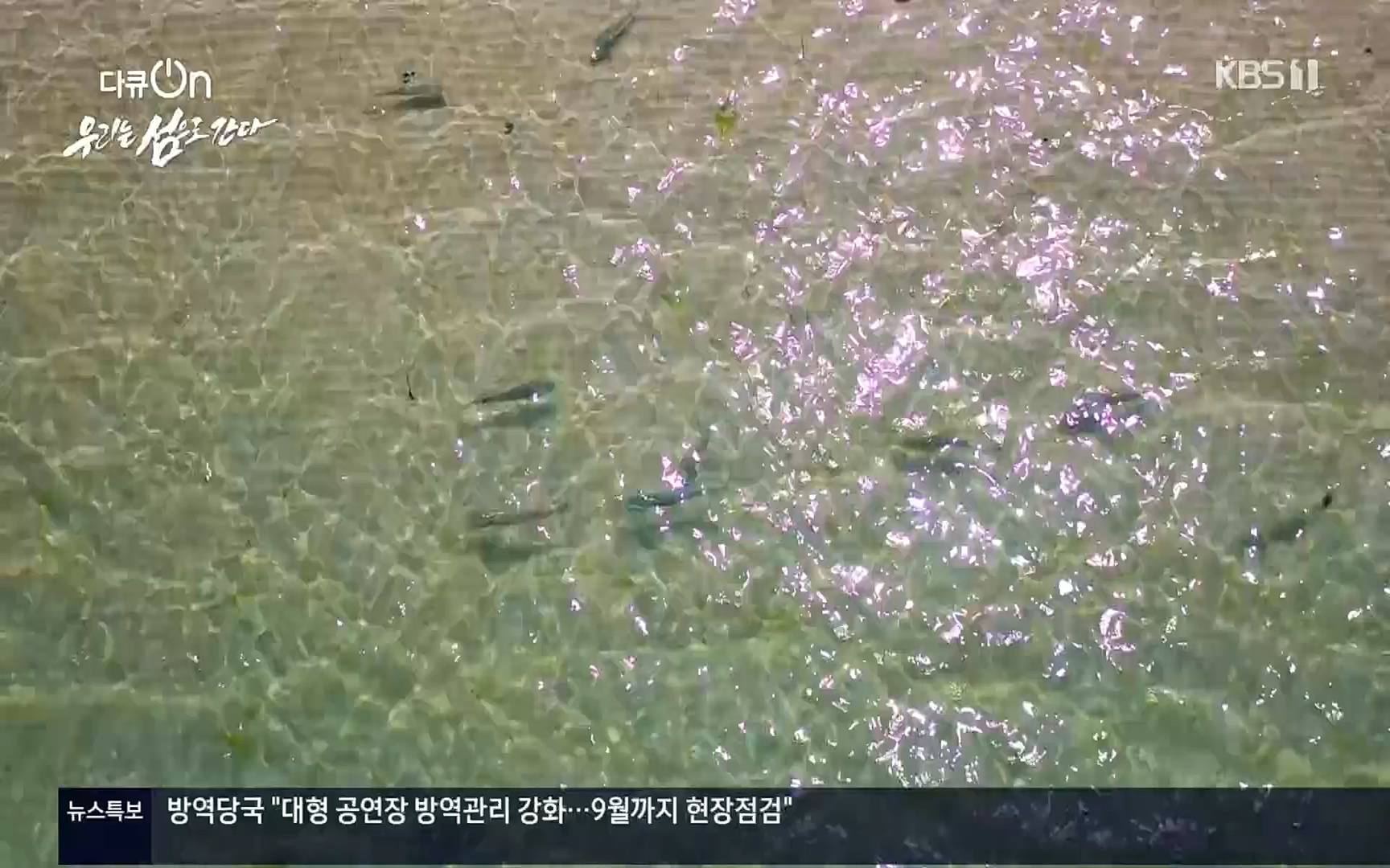 다큐 On.E152.220812p.H264-F1RST.mp4_20220814_160457.383.jpg