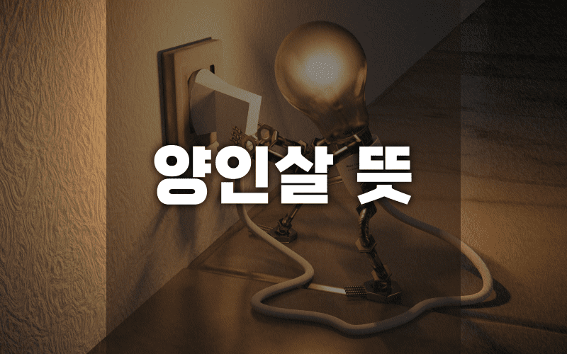 양인살 썸네일