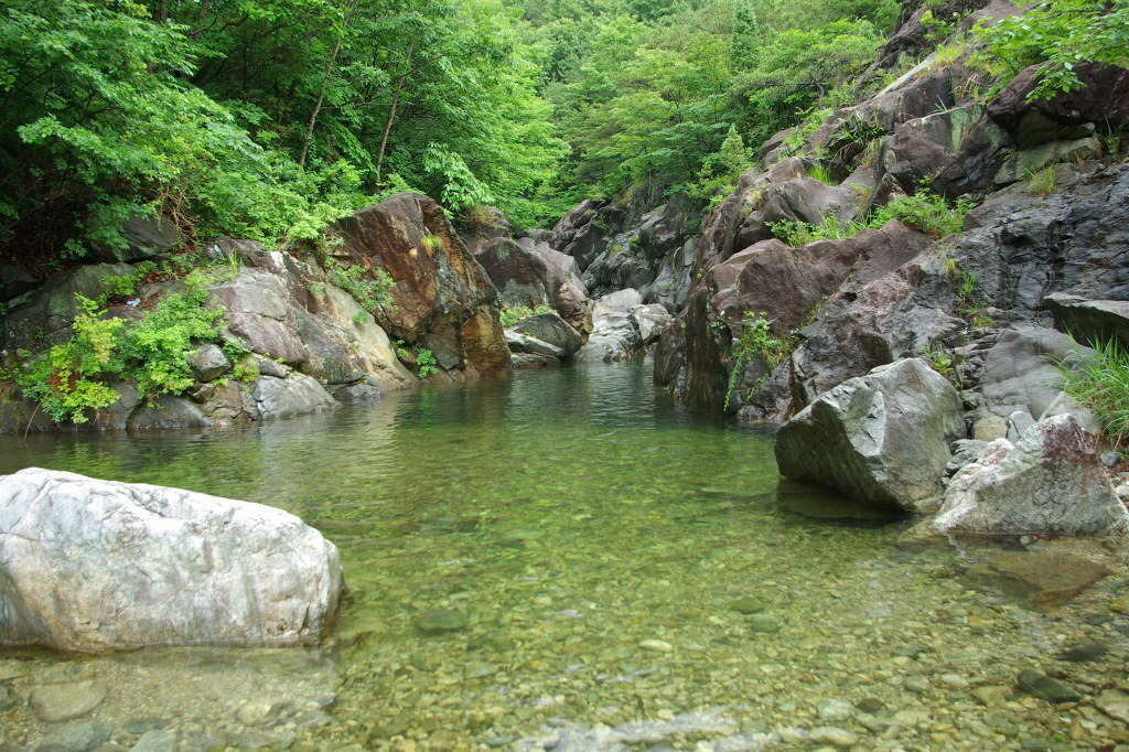 img.jpg