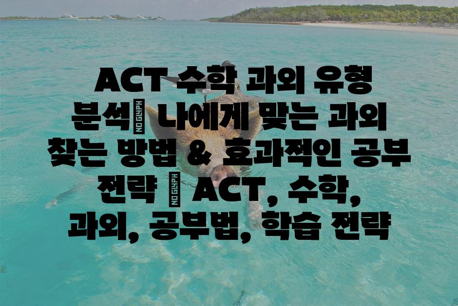샘플 (1)