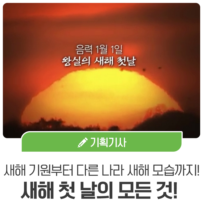 다른나라의 새해 모습까지 7