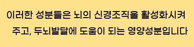  이러한 성분들은 뇌의 신경조직을 활성화시켜 주고, 두뇌발달에 도움이 되는 영양성분입니다