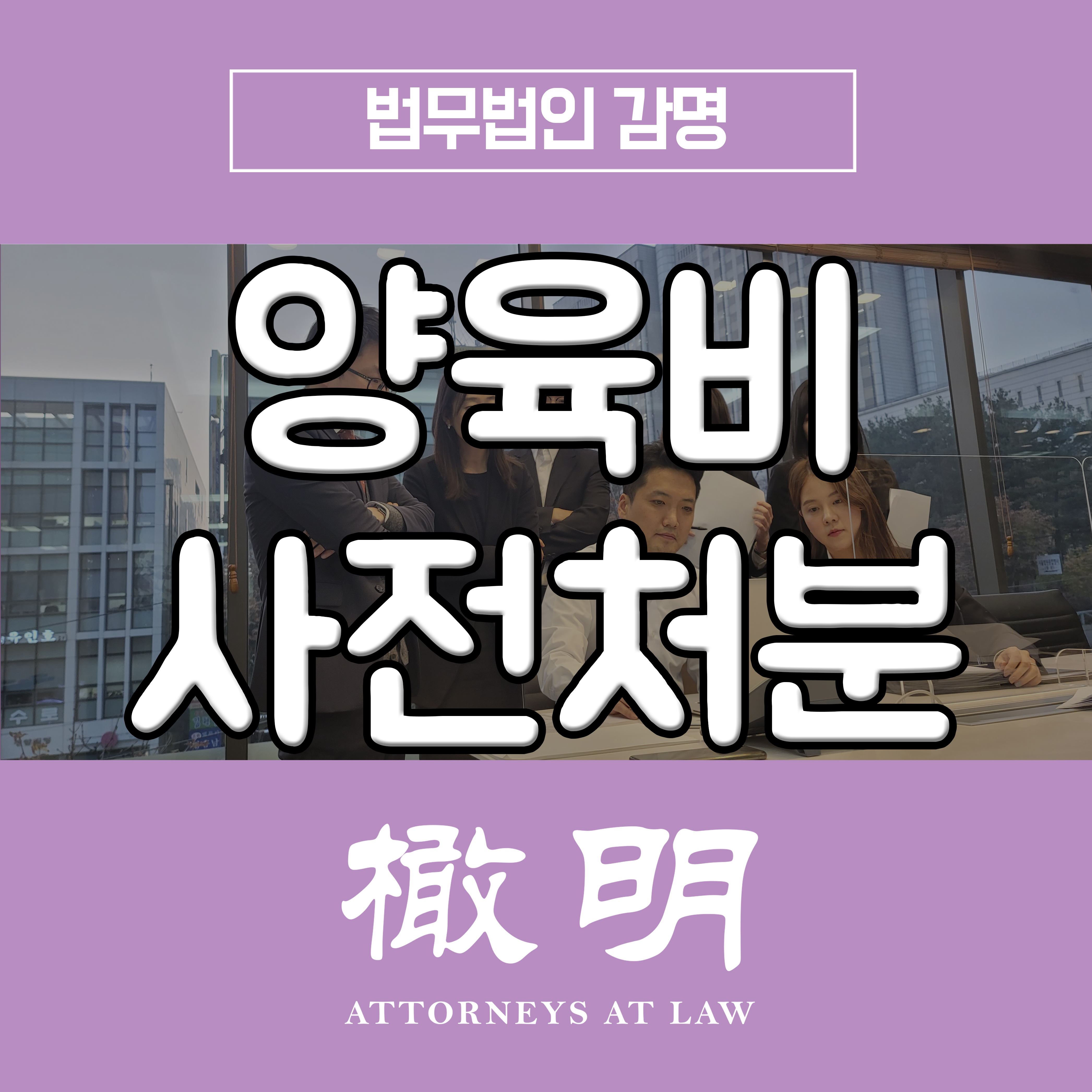  양육비사전처분, 소송단계에서 중요한 이유