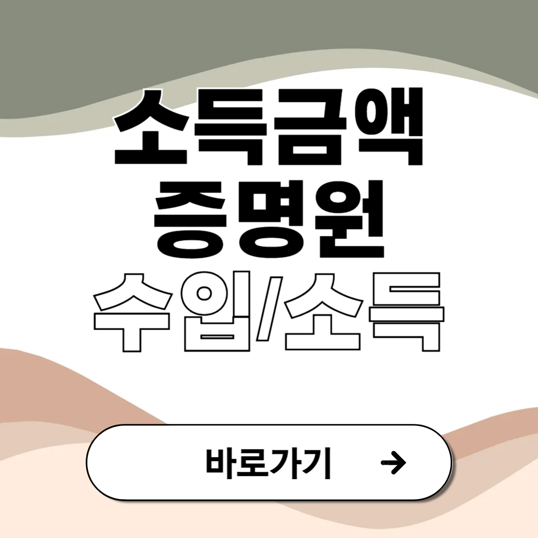 소득금액 증명원 수입금액 소득금액 차이
