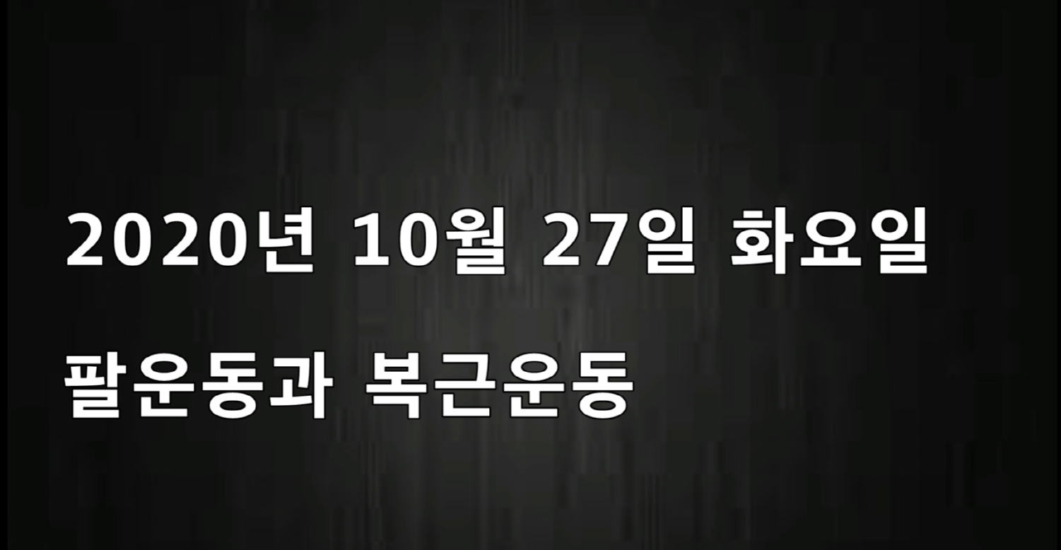  10월 27일 팔운동 하기