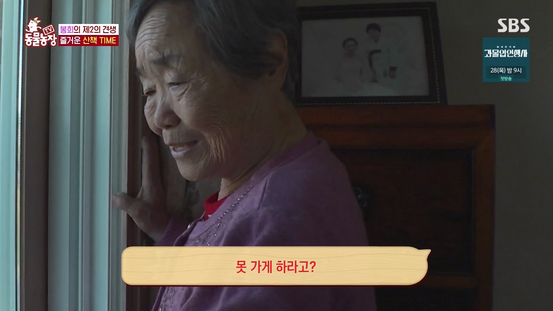TV 동물농장.E1151.231224p-NEXT.mp4_20231224_154148.813.jpg