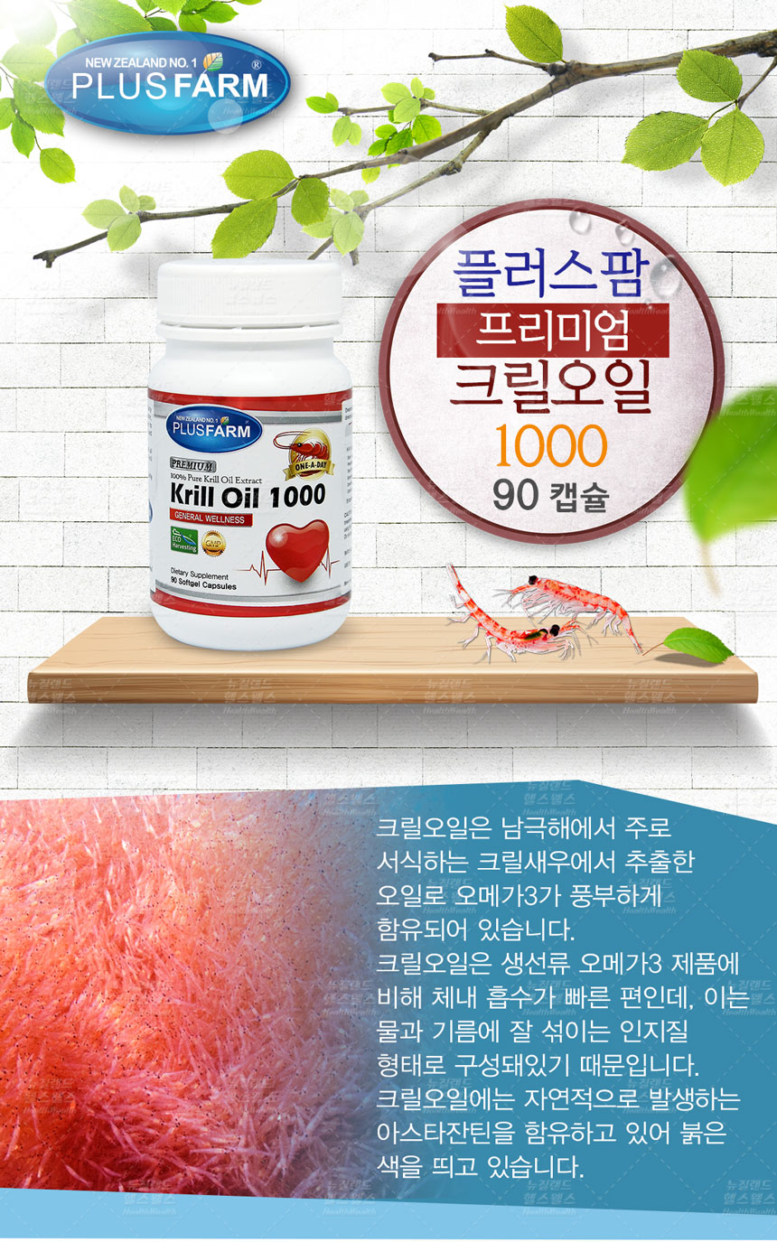 오일플러스 이미지