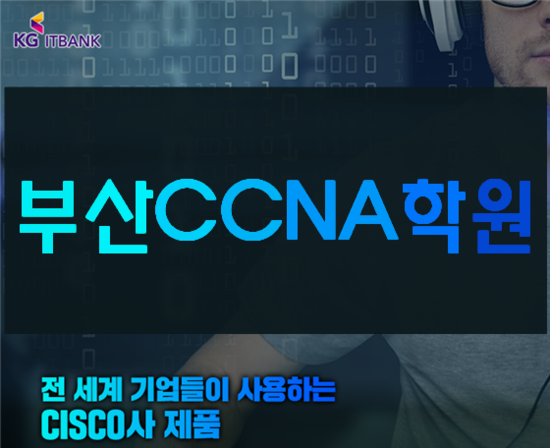  부산CCNA학원 네트워크기초부터 심화까지!