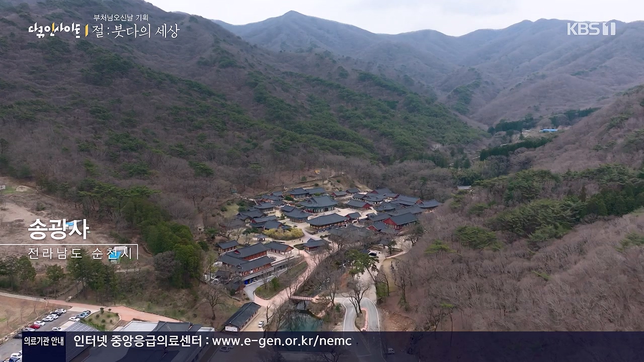 다큐 인사이트.E185.240517p-NEXT.mp4_20240517_202639.212.jpg