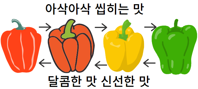 파프리카 성장단계