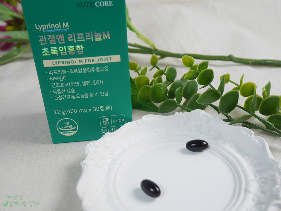 제일 나아요 초록잎홍합오일 이게
