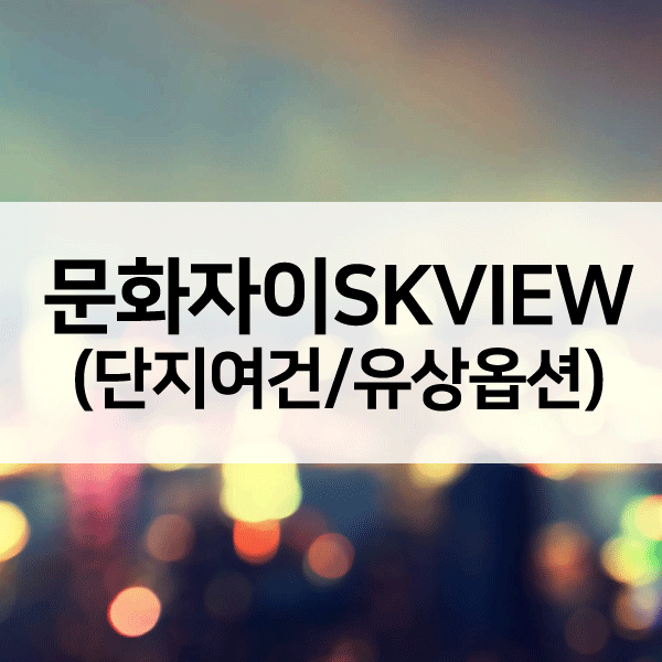 문화자이SKVIEW1순위-1