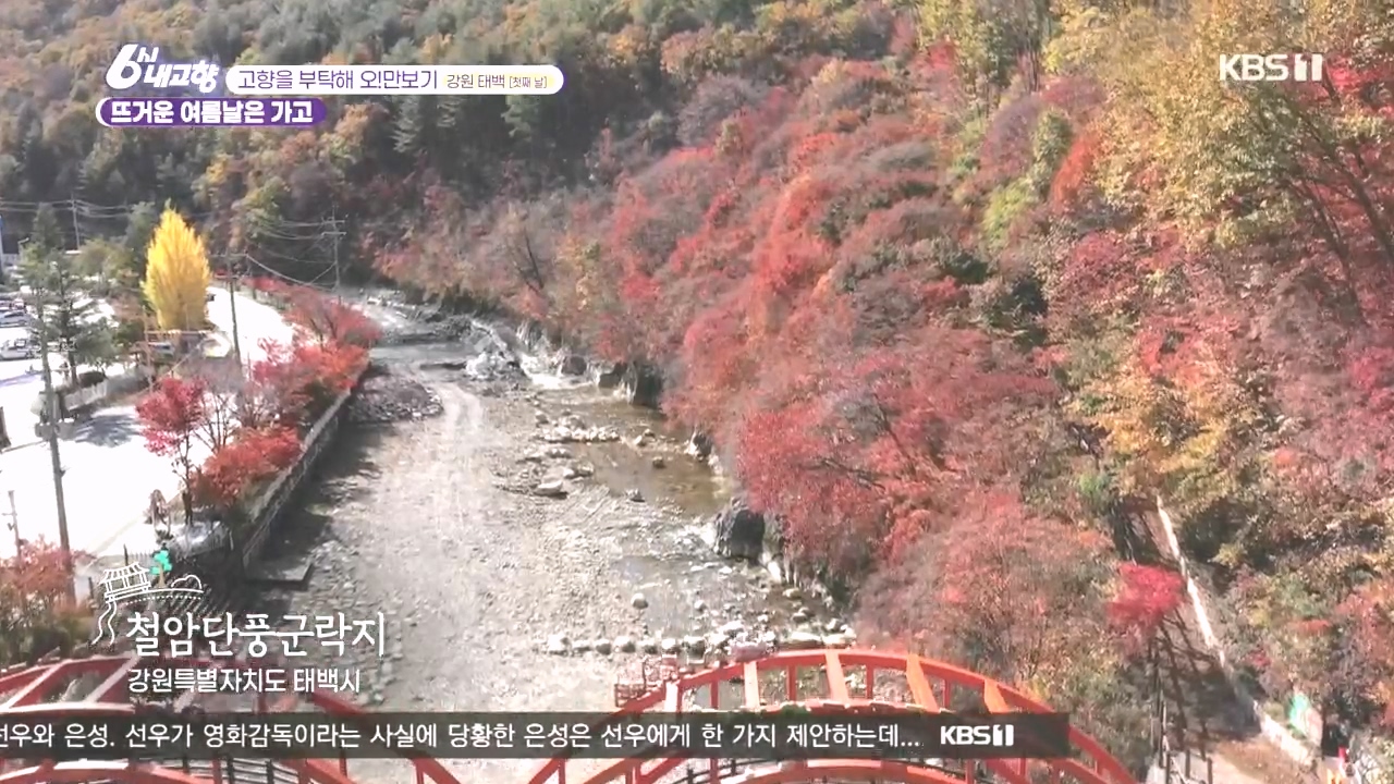 6시 내고향.E7897.231025p.H264-F1RST.mp4_20231025_202250.690.jpg