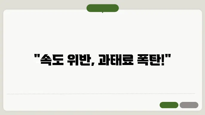 속도위반 단속기 정보