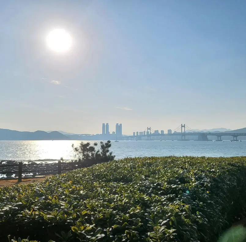 동백섬2