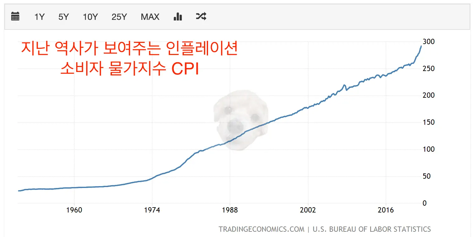 자산 인플레이션을 볼 수 있는 미국 CPI 차트