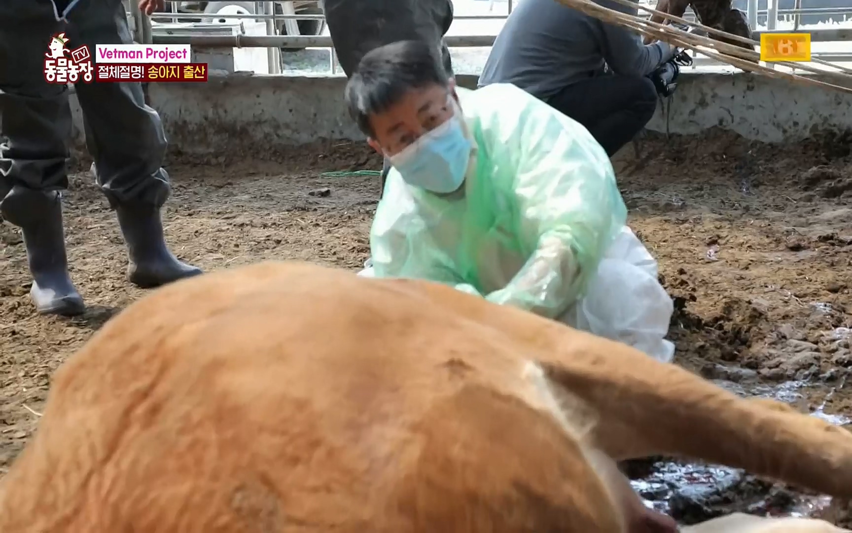TV 동물농장.E1069.220515p.H264-F1RST.mp4_20220515_180103.533.jpg