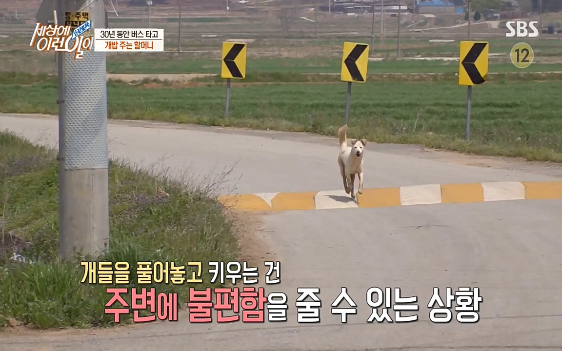 순간포착 세상에 이런일이.E1177.220427p-NEXT.mp4_20220427_183615.277.jpg