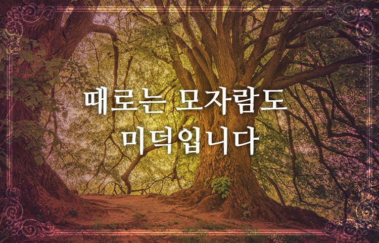  좋은글, 명언, 힐링, 책 글귀 모음. 때로는 모자람도 미덕입니다
