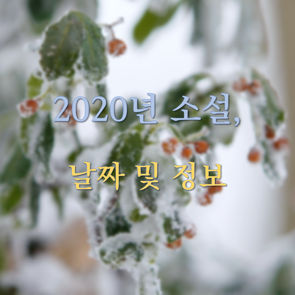  2020년 소설(小雪)은 언제? 소설 날짜 및 관련 정보