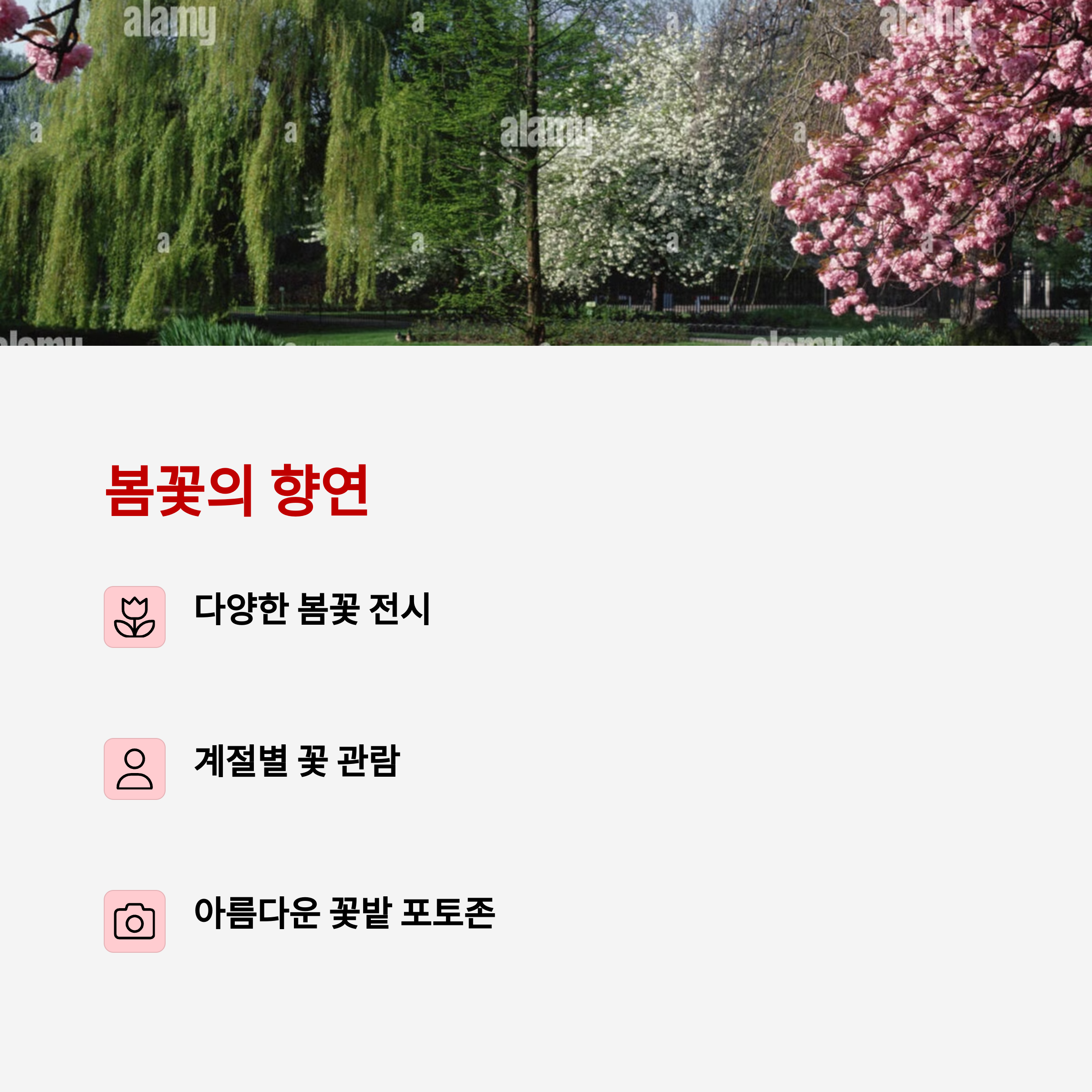 네이처파크 플라워페스티벌