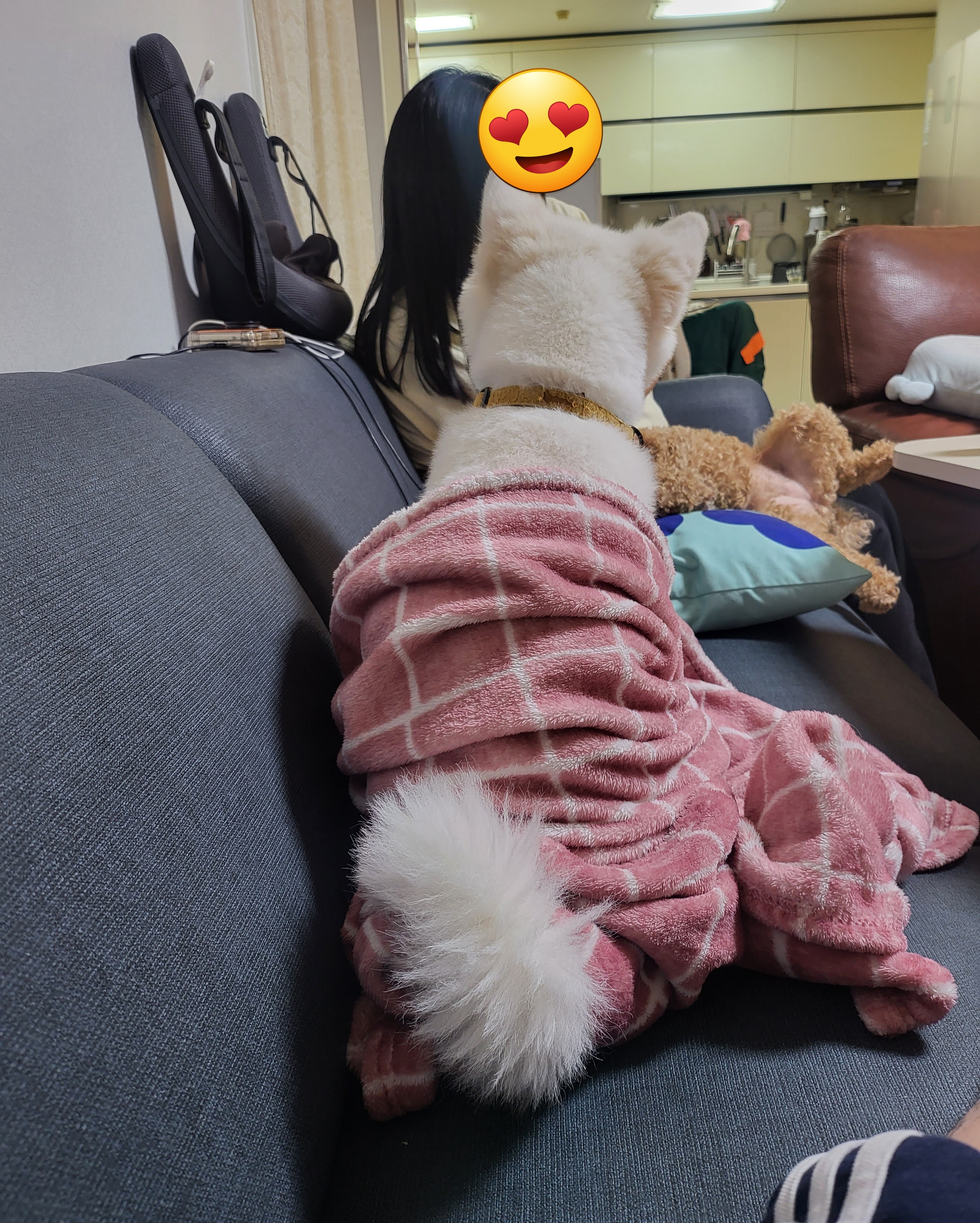  시루의 일상(3)_언니 바라기