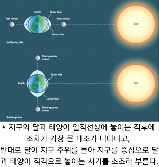 대조기(大潮期)와 소조기(小潮期) : 네이버 블로그