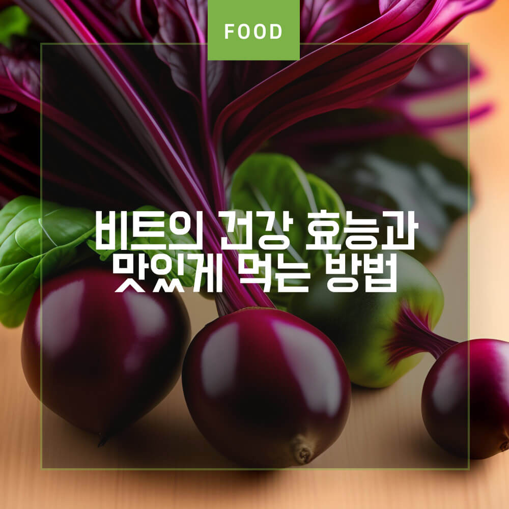  레드비트 효능과 비트즙 및 비트 먹는법