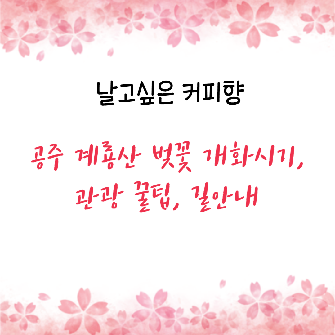 공주 계룡산 벚꽃 개화시기&#44; 관광 꿀팁&#44; 길안내