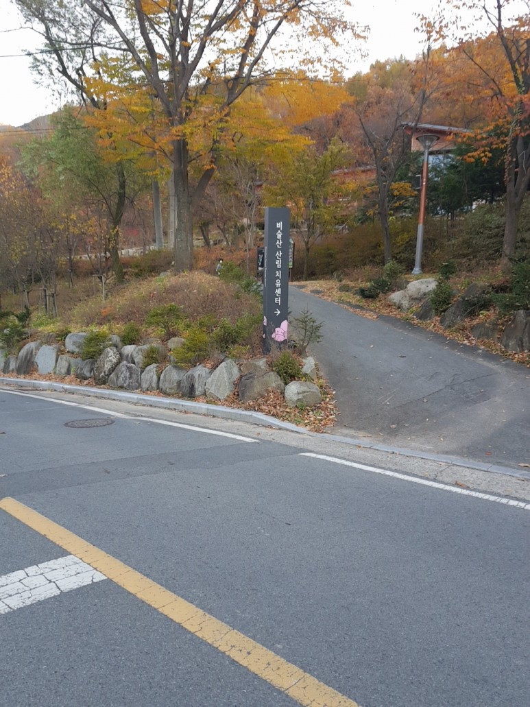 비슬산 치유의 숲 [비슬산 산림치유센터] 산림치유로 마음 14